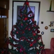v�noce 2007